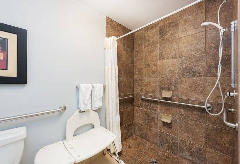 Standard Værelse King-seng Tilpasset til Handicappede, Hilton Garden Inn St. Louis Shiloh/o Fallon Il