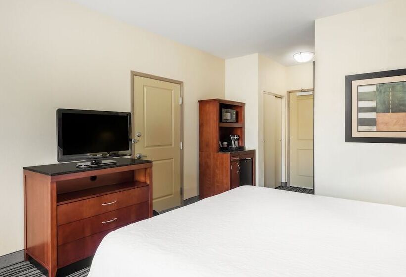 Suite King Size Seng, Hilton Garden Inn St. Louis Shiloh/o Fallon Il