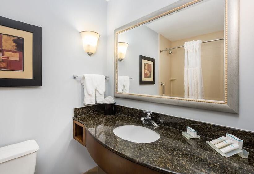 Suite King Size Seng, Hilton Garden Inn St. Louis Shiloh/o Fallon Il