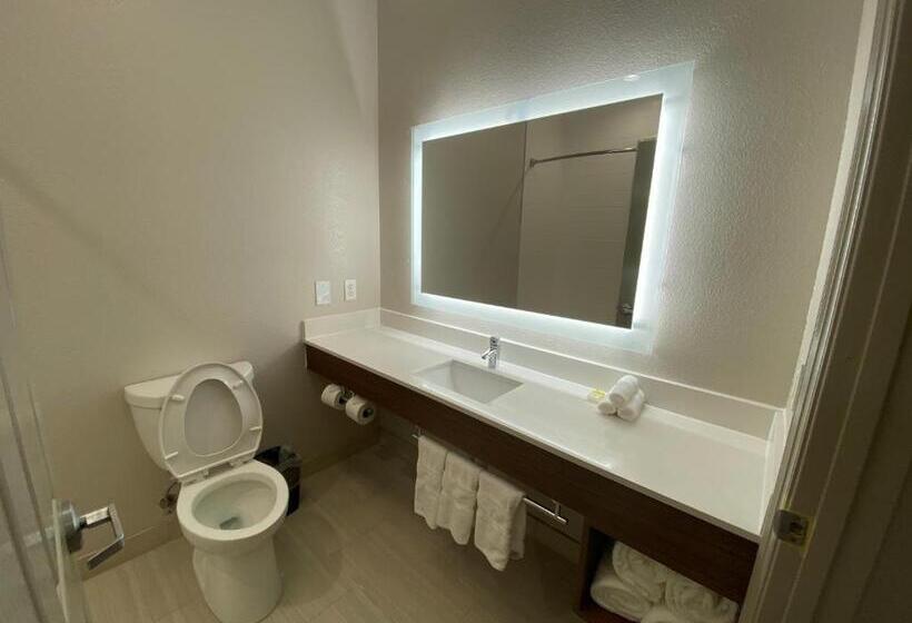 Habitació Estàndard Llit King Adaptada per a persones amb mobilitat reduïda, Holiday Inn Express Hotel Galveston West Seawall, An Ihg