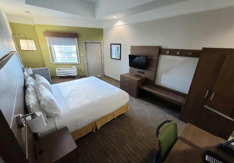 Standard Værelse King-seng Tilpasset til Handicappede, Holiday Inn Express Hotel Galveston West Seawall, An Ihg