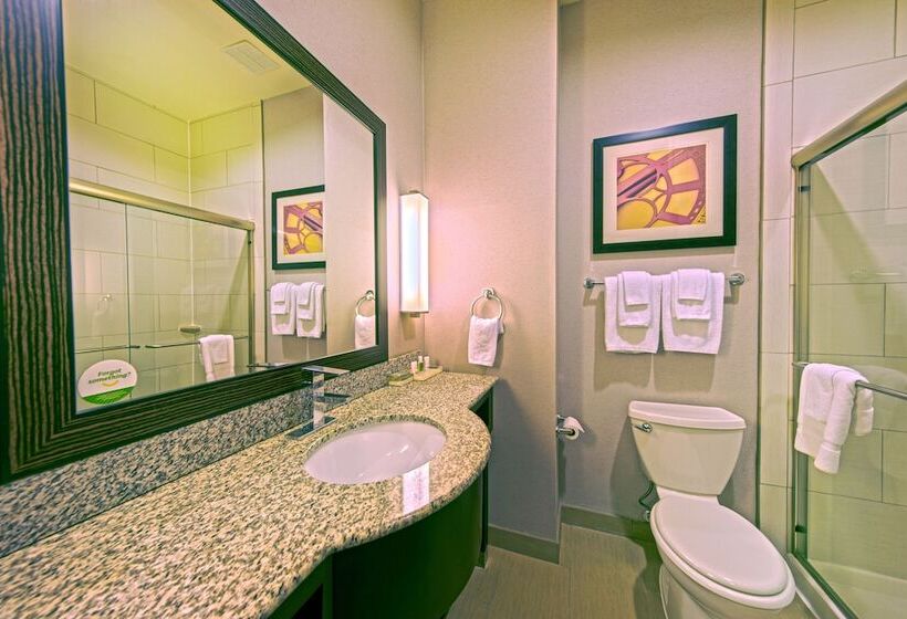 اتاق استاندارد, Holiday Inn Houston West   Westway Park, An Ihg