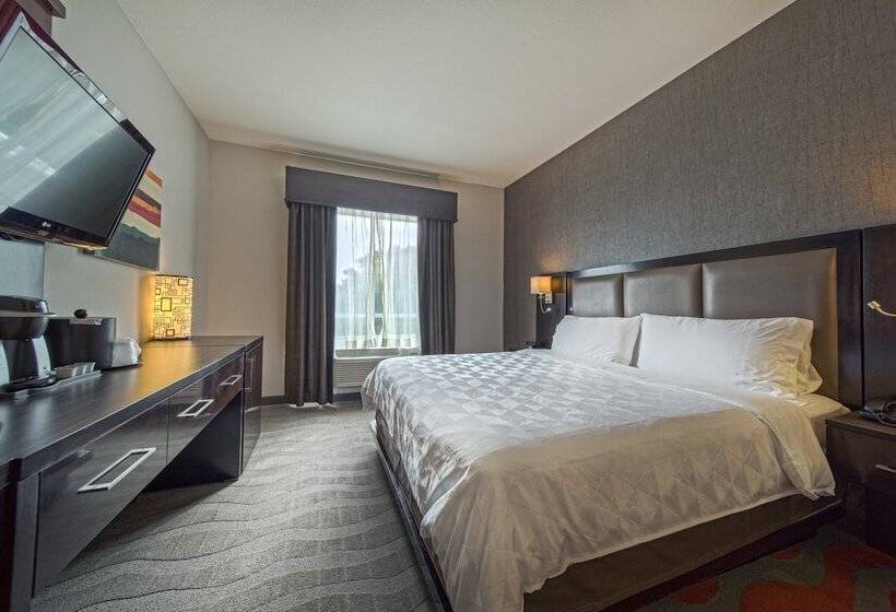 اتاق استاندارد, Holiday Inn Houston West   Westway Park, An Ihg