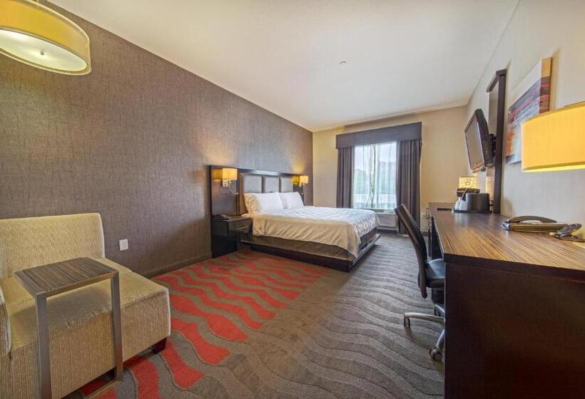 اتاق استاندارد با تخت بزرگ برای معلولان, Holiday Inn Houston West   Westway Park, An Ihg