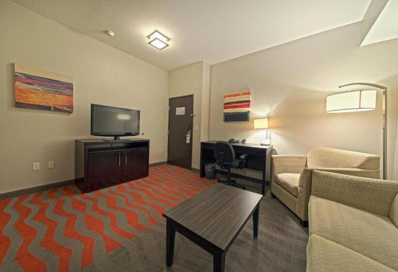 سوئیت با تخت بزرگ, Holiday Inn Houston West   Westway Park, An Ihg