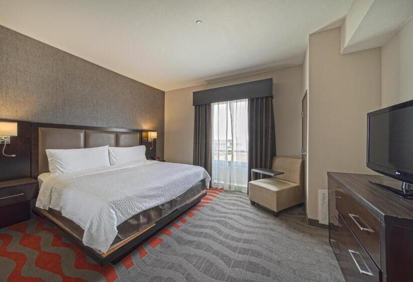 سوئیت با تخت بزرگ, Holiday Inn Houston West   Westway Park, An Ihg