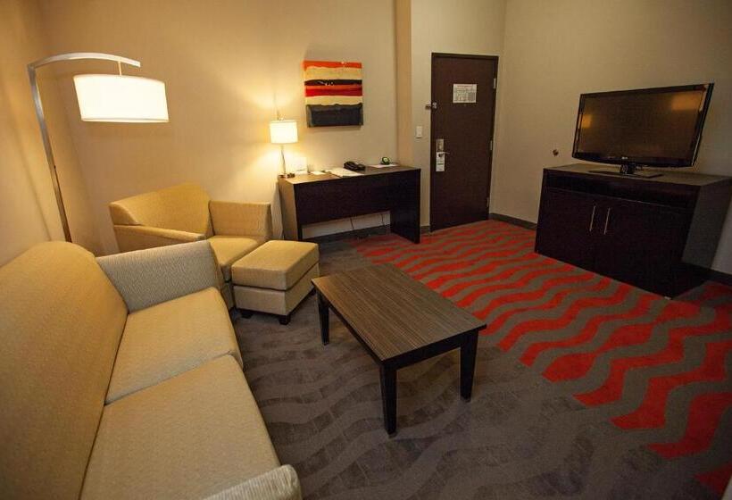 سوئیت برای معلولان, Holiday Inn Houston West   Westway Park, An Ihg