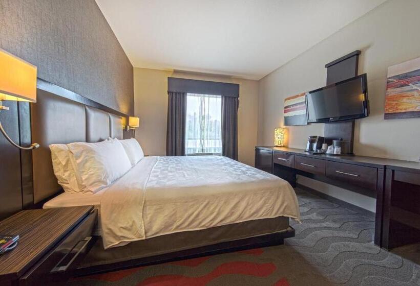 اتاق استاندارد برای معلولان, Holiday Inn Houston West   Westway Park, An Ihg