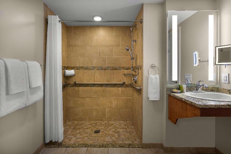 سوئیت با تخت بزرگ, Holiday Inn Houston West   Westway Park, An Ihg