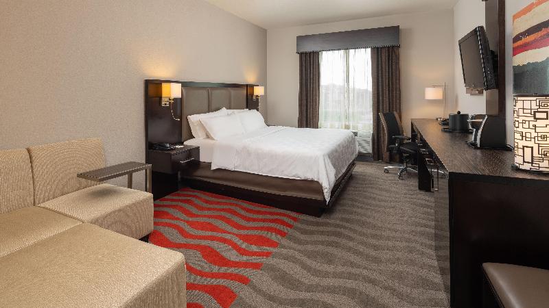 اتاق اجرایی با تخت بزرگ, Holiday Inn Houston West   Westway Park, An Ihg