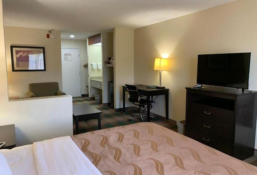 스탠다드 룸 킹사이즈 침대, Quality Inn Montgomery South