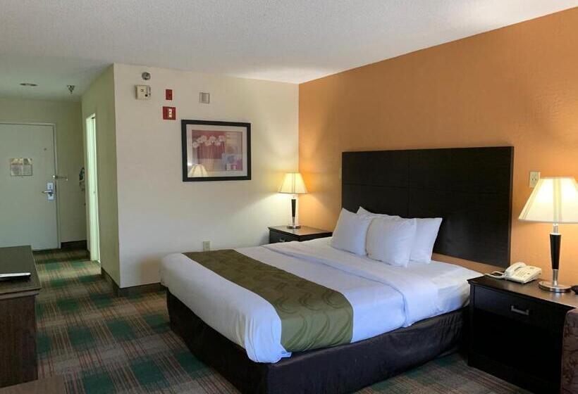 장애인을 위한 킹사이즈 침대 스탠다드 룸, Quality Inn Montgomery South
