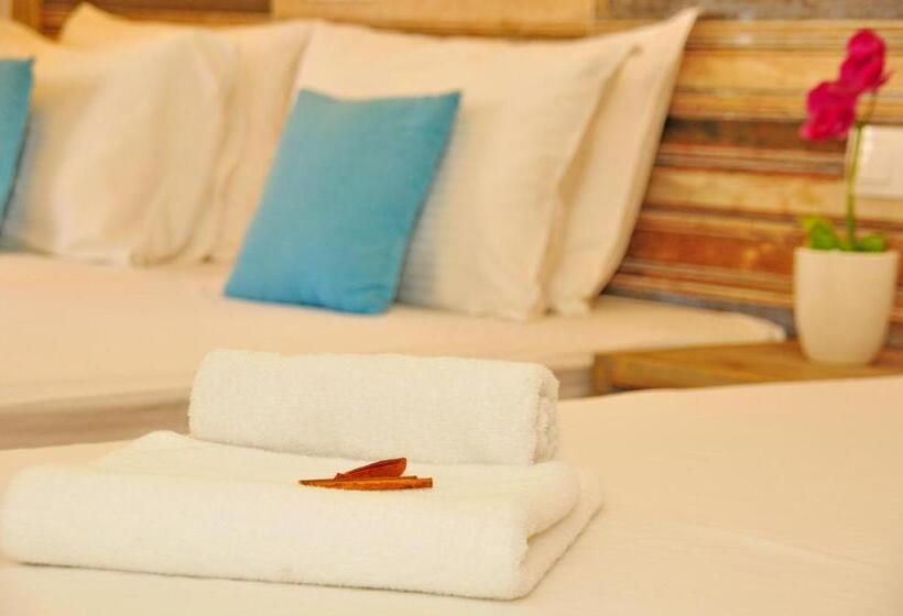 استودیوی استاندارد, Cleopatra Apartments