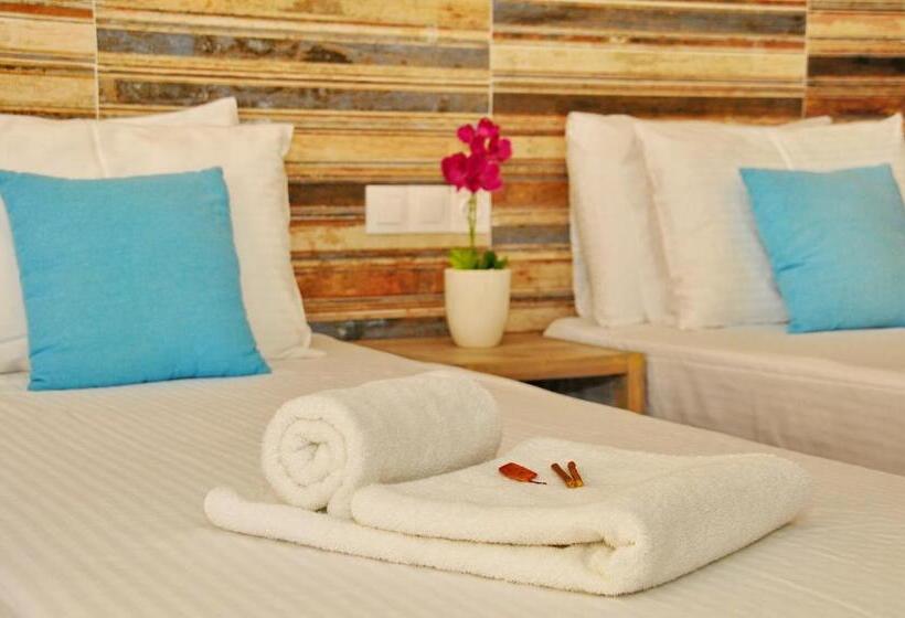 استودیوی استاندارد, Cleopatra Apartments