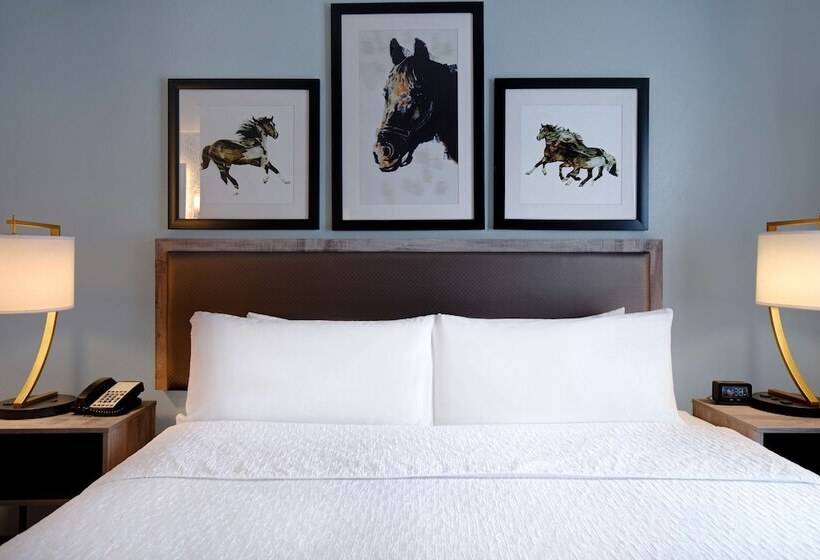 سوییت, Homewood Suites Lexington Hamburg