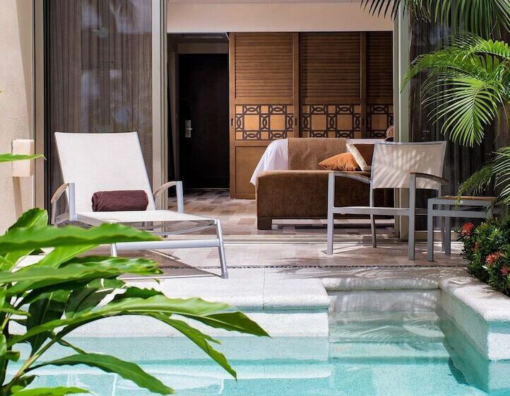 سوئیت جونیور با تخت بزرگ, Dreams Vallarta Bay Resorts & Spa   All Inclusive