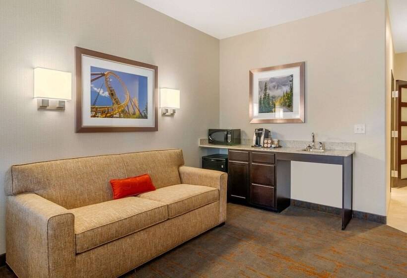 Люкс, Comfort Inn & Suites Brighton Denver Ne Medical Center