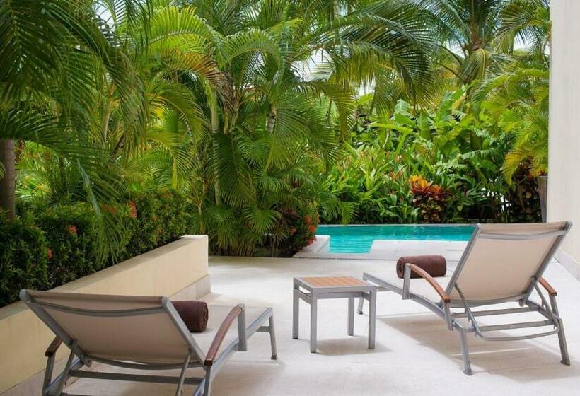 سوئیت جونیور با تخت بزرگ, Dreams Vallarta Bay Resorts & Spa   All Inclusive