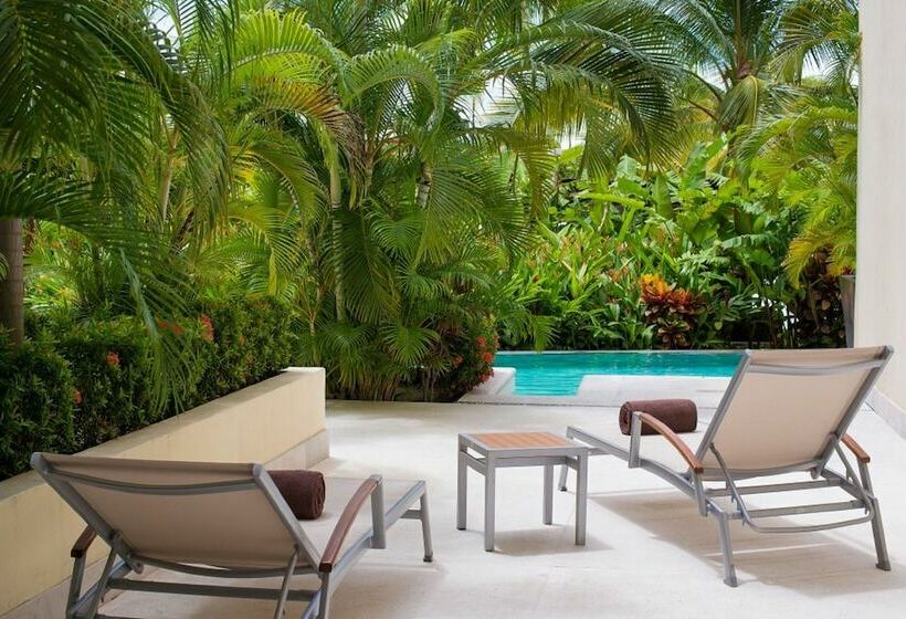 سوئیت جونیور با تخت بزرگ, Dreams Vallarta Bay Resorts & Spa   All Inclusive