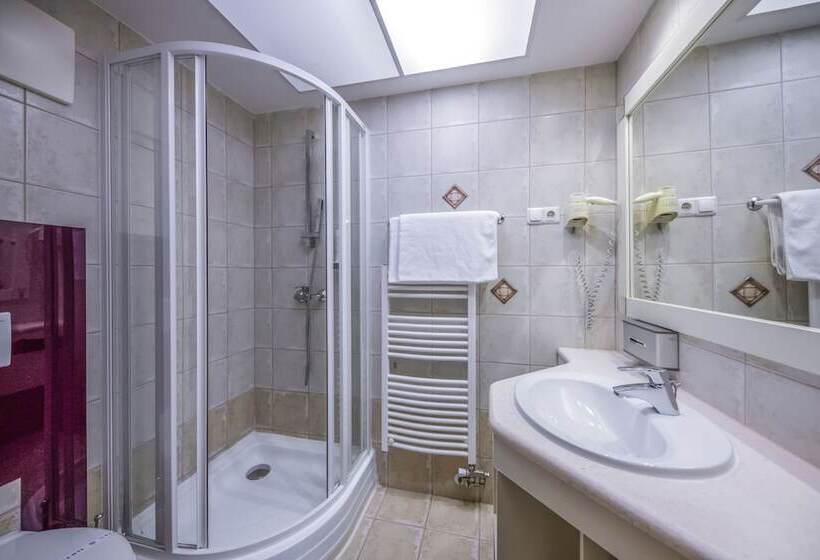 اتاق استاندارد, Residence Hotel Balaton