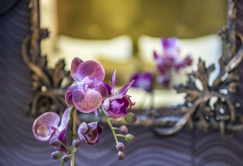 اتاق سوپریور, Residence Hotel Balaton