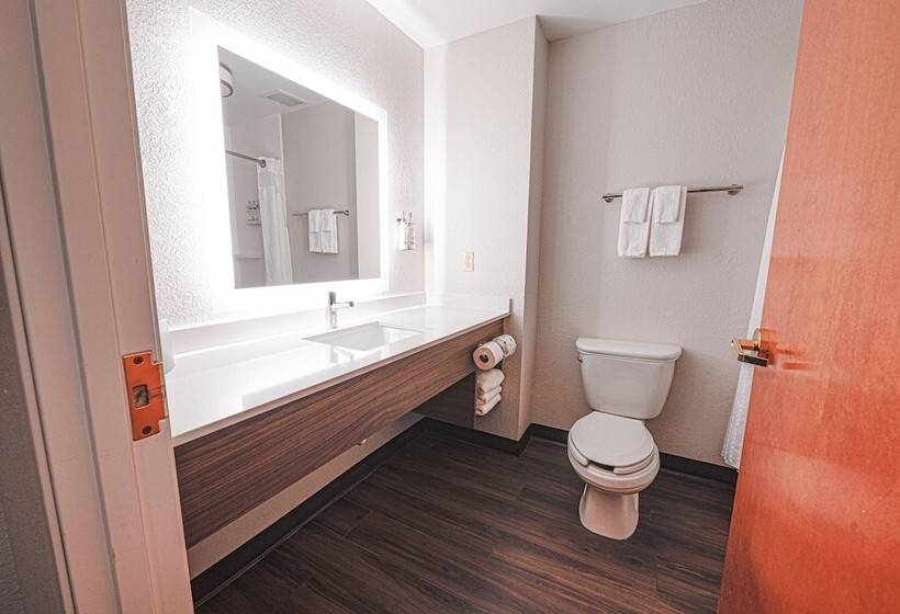 스탠다드 룸, Holiday Inn Express Hotel & Suites East Lansing, An Ihg