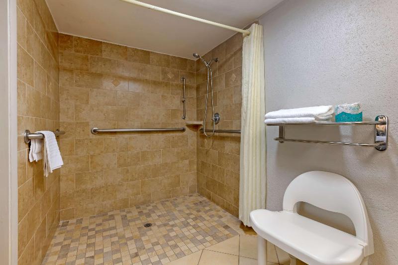 스탠다드 룸 킹사이즈 침대, Holiday Inn Express Hotel & Suites East Lansing, An Ihg