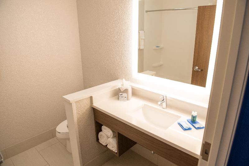سوئیت با تخت بزرگ, Holiday Inn Express Hotel & Suites East Lansing, An Ihg