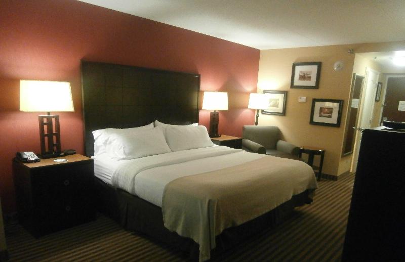 اتاق استاندارد با تخت بزرگ, Holiday Inn Florence, An Ihg