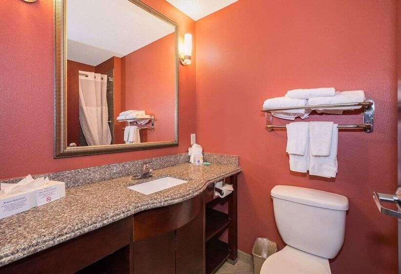 장애인을 위한 스위트, Comfort Inn & Suites Maingate South