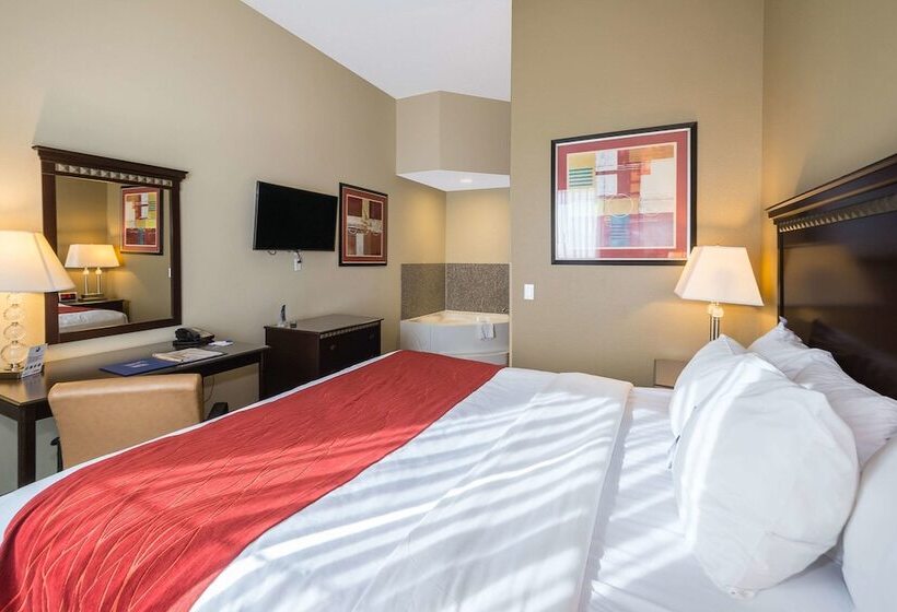 장애인을 위한 스위트, Comfort Inn & Suites Maingate South