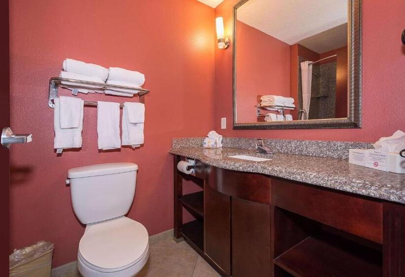스탠다드 룸, Comfort Inn & Suites Maingate South