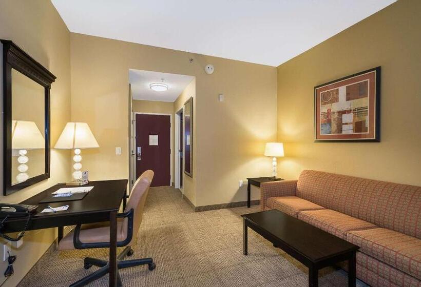 스위트 킹사이즈 침대, Comfort Inn & Suites Maingate South
