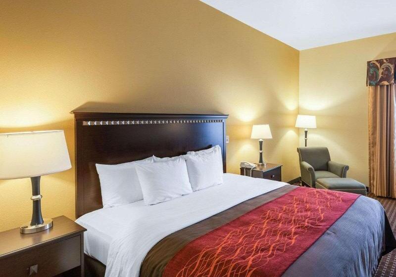 اتاق استاندارد با تخت بزرگ, Comfort Inn & Suites Regional Medical Center