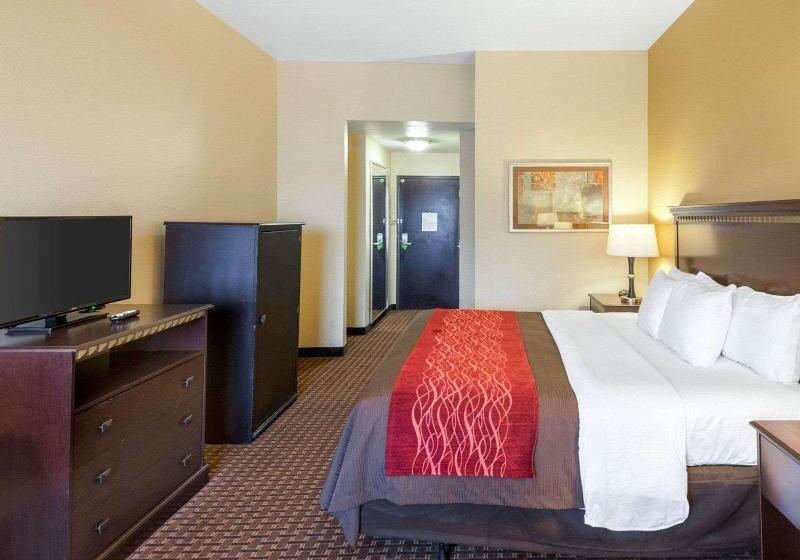 اتاق استاندارد با تخت بزرگ, Comfort Inn & Suites Regional Medical Center