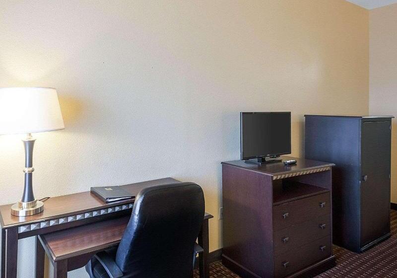 اتاق استاندارد با تخت بزرگ, Comfort Inn & Suites Regional Medical Center
