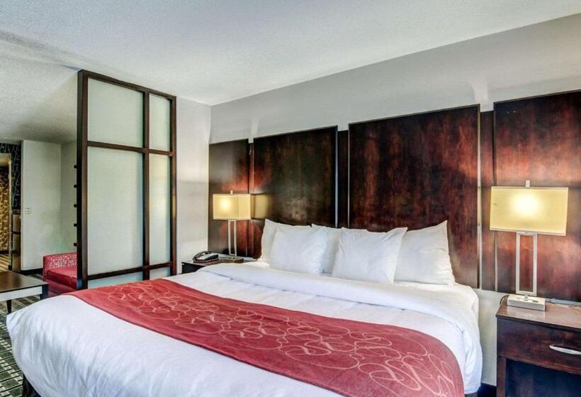 带大床的套房, Comfort Suites Williamsburg Historic Area
