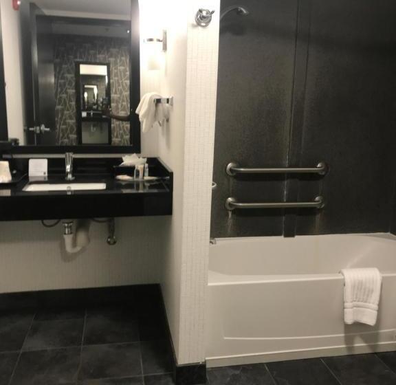 适合残疾人士使用的套间, Comfort Suites Williamsburg Historic Area