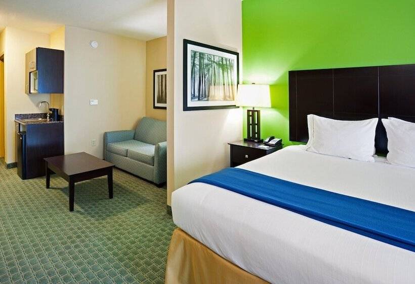 套房, Holiday Inn Express Hotel & Suites Newport South, An Ihg