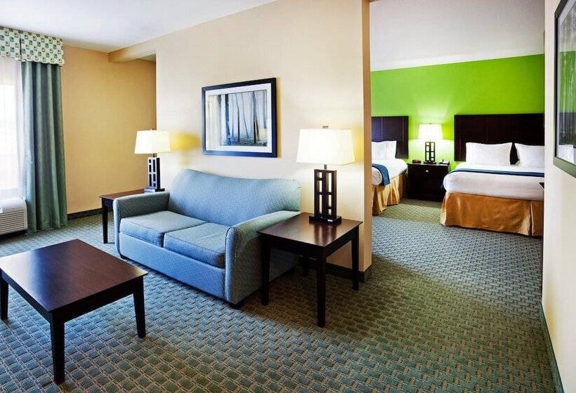 套房, Holiday Inn Express Hotel & Suites Newport South, An Ihg