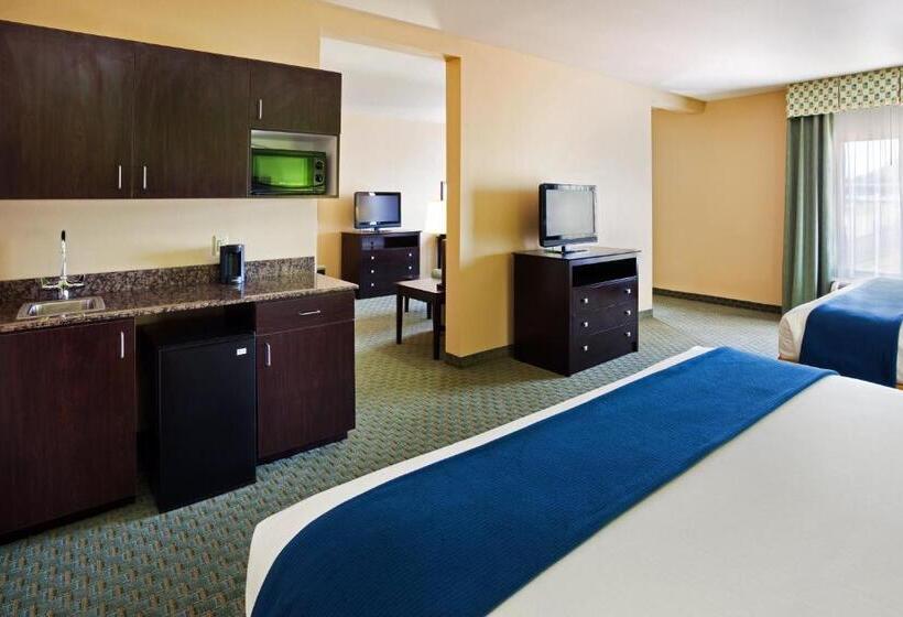 总统套房, Holiday Inn Express Hotel & Suites Newport South, An Ihg