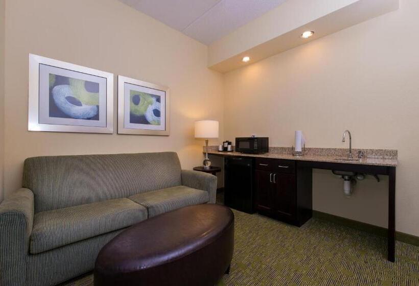 Люкс Кровать Кинг, Holiday Inn Express And Suites Dickson City, An Ihg