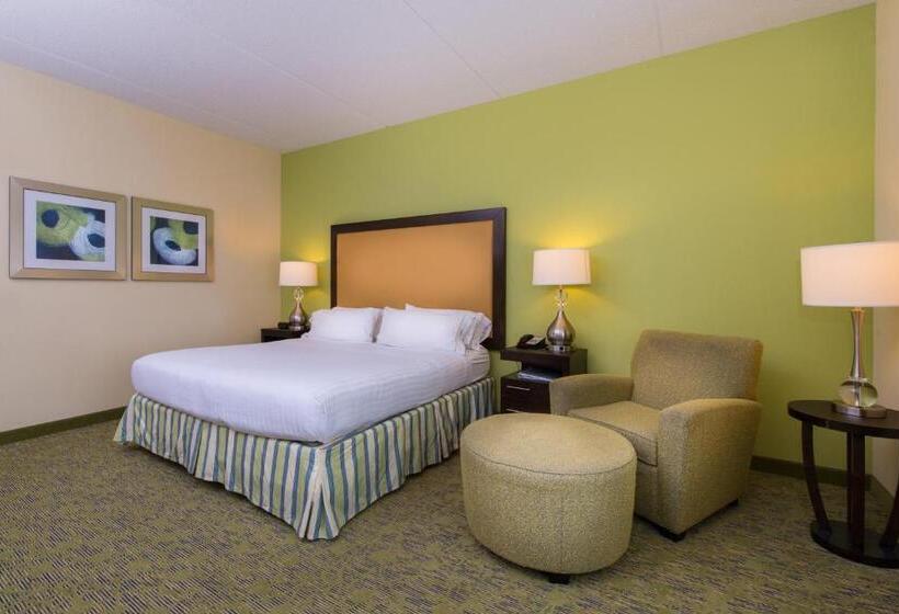 Номер Стандарт Кровать Кинг Адаптированный для Инвалидов, Holiday Inn Express And Suites Dickson City, An Ihg
