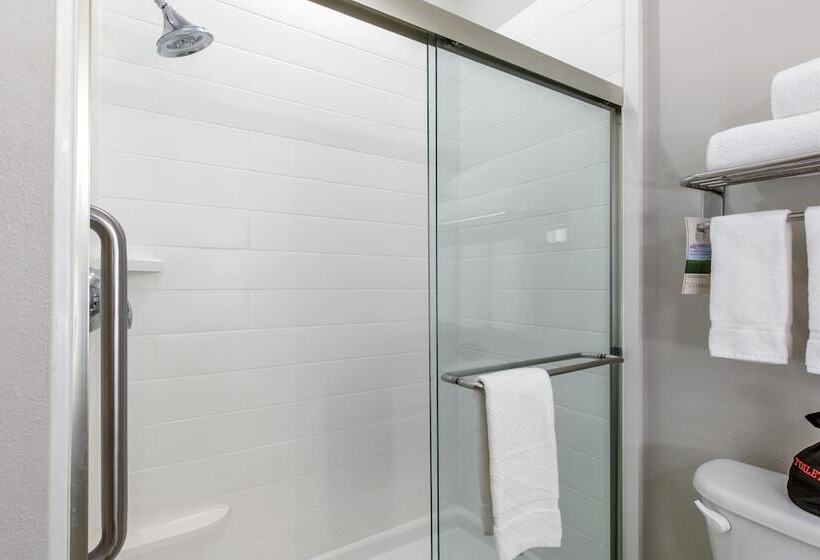 Suite, Holiday Inn Express Houston Alvin, An Ihg