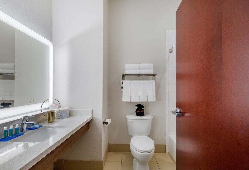 Suite Adaptada per a persones amb mobilitat reduïda, Holiday Inn Express Houston Alvin, An Ihg