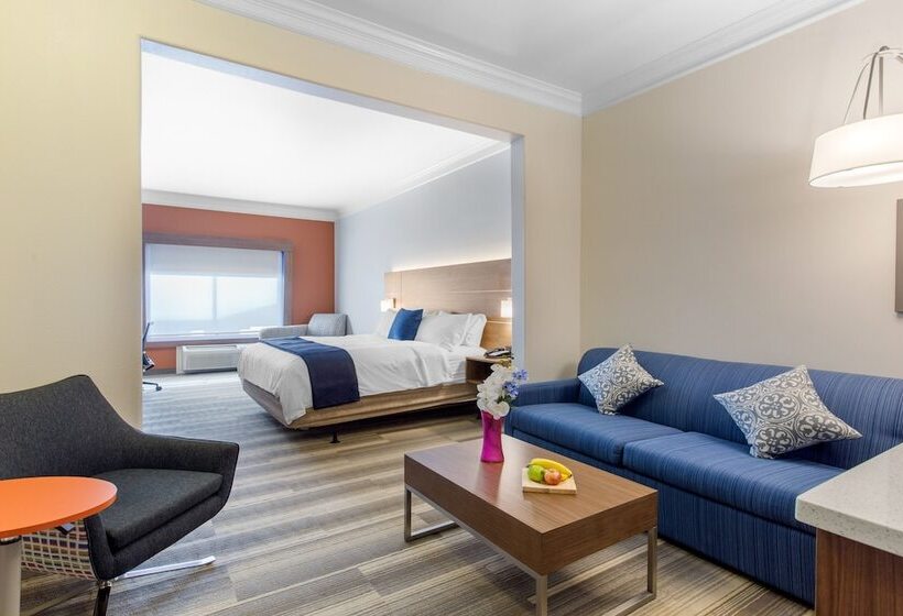 Suite Adaptada per a persones amb mobilitat reduïda, Holiday Inn Express Houston Alvin, An Ihg