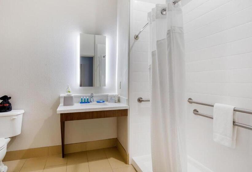 Habitació Estàndard Llit King Adaptada per a persones amb mobilitat reduïda, Holiday Inn Express Houston Alvin, An Ihg