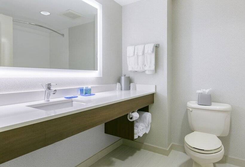 스위트, Holiday Inn Express Mount Arlington, An Ihg