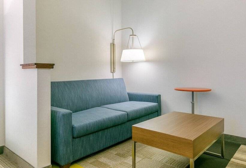 스위트, Holiday Inn Express Mount Arlington, An Ihg