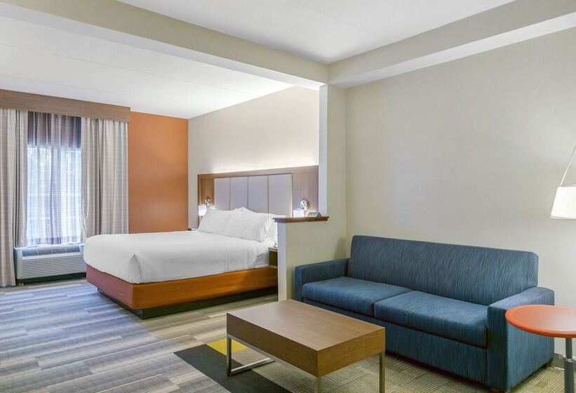 스탠다드 룸, Holiday Inn Express Mount Arlington, An Ihg